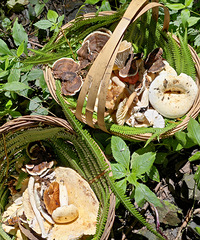 ��Ҫ����ٸ��ֲ�������������ɽ�ɾ��Ӱ�!����ѹ