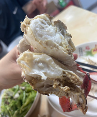 һ���Ľ������з�����ͷ�ɻ��У�����һֻ ��������...