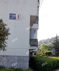 嘉兴老小区养鸡已经成风了!我们小区连物业都无能为力…