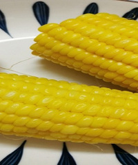 ���Ƕ���������ʲô��ͣ�