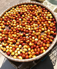 ������ɹ���������ھӼ��������˺ܶ���Բ��꿴������ɹ��