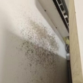 ǽ�ڷ�ù����ô�죿