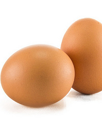 �������Ӳ�֪�������ǹ���ƶ�����ް��°�