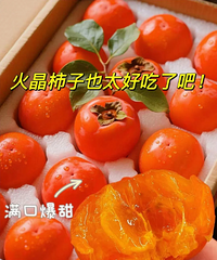 �����ĵĻ�������