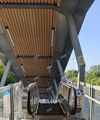 һ�����ŵ��ݱ��ؾ���������19¥����ʵ�ģ�ά����λ��Ӧ˵��