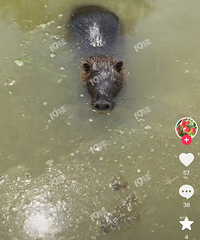 ̫���ˣ��������ﺣ�������ˣ�������Ķ���챻�������ˡ�