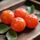 �����ĵĻ�������