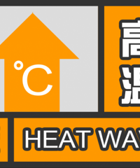 ����ӭ����ǿһ�ܣ����˸ոշ�����ɫԤ����