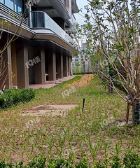 ��˵�еĳ��ϸ�Ʒ��С��ʵ��?������̻����ģ�ȫ����...