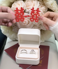 ɹɹ�ҵı����ָ����������