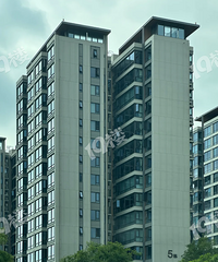 �����ĸ������ƵĲ��֣�����Ĳɹ⻹������