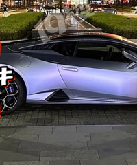 ����������Υͣ��