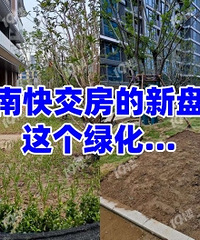 ����Ǵ�˵�еĳ��ϸ�Ʒ���̵��̻���