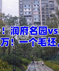 ����԰vs�����������ĸ��ã�