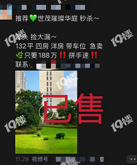 ��ï�����������©��