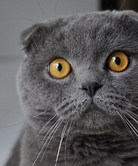 �����Ϊ�и���һ�������ʲô�������˽���...