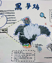 ����Ҫ��ѧ�ˣ�û�뵽����ѧ�ľ�Ȼ���ң����Ӳ���ëһ�������