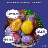 �����½���÷��