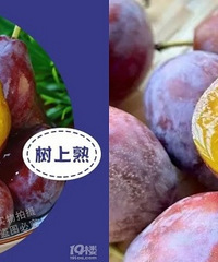 �����½���÷��ȻҲ��˳������ˣ�