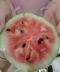 ���׶�������Է�ſڵ�����..�ųƱ���8424���ʿ�����������