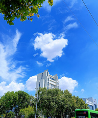 �ۣ��ո������ȥ�������ϵİ��ƶ�俴����������