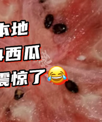 ���׶�������Է�ſڵ�С����