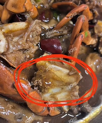 ����֪����з�������Գ�����ë�����̼Ҳ������⣡