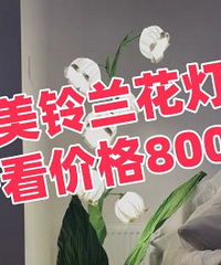 ��Ư����Сҹ�ƣ�����Ҫ800+��