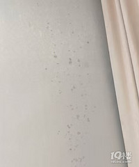 请问这个墙纸是发霉了吗?有什么办法去除吗?