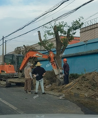 ���·��� �ಽ��·�����Ѿ�Ϊ�����ؿ���׼����