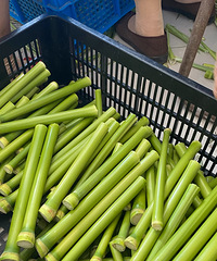 �������ﻹ������˵İ����þö�û�Ե���...