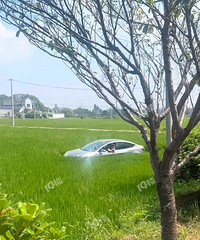 �̻����Ѿ����㲻����...����˹������ũ���