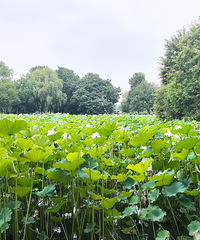 �������ĿӾ��ǡ�����Ǯ����ѵ�ࡢ��ĩ���Ρ�����Ǯ����