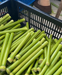 �������ﻹ������˵İ����þ�û�Ե���