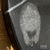 ����������ǻ�ʯ��