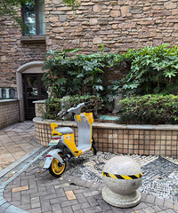 �������ʣ�������ƿ��������ͣ��ΥԼ��Ǯ��