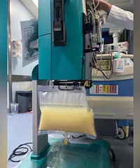 ����1���տ�������8�죡����һ���ӻ������ǡ�ţ��Ѫ����