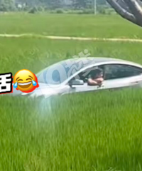 һ��˹���������