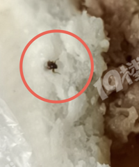 ��̬���ˣ��Ե���󼸿��˷��ְ�ֻССǿ��