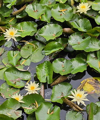 ѧ����ͥ���õ���������������룬��λ�ǰ�ʵд��������д�㣿