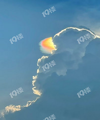 �������ڣ���̧ͷ���������˵��߲�����ˢ������