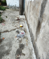 ������С���ſ�ÿ�춼����ιҰè�������ֲ���ʰ��һ����Ϳ��