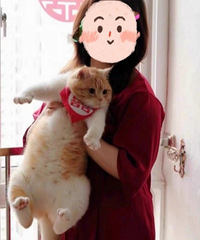 ��ϲ������˿˿�����ĳ��� �������������