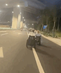 ��ү�����ζ��ܡ��ٶ��뼤�顱����