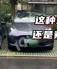 ���������ھ�զ�찡