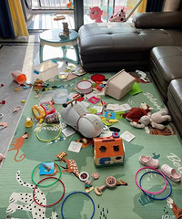 �Լ���������̫�����ˣ�ÿ�����ص���߶ѳ�ɽ ��ʰ������