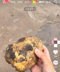 真能捡到吗?刷短视频看到最近好多人去嘉兴批发市场捡菜…