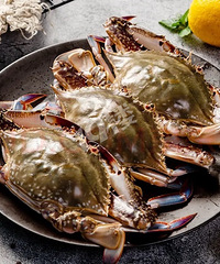 ��19¥��ת�����һ�죡�����ⵥ��������з��������