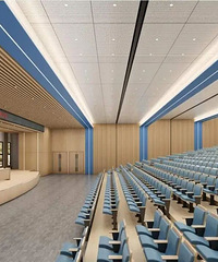 �����涼���Ƚ��������б�������һ����ѧУ��