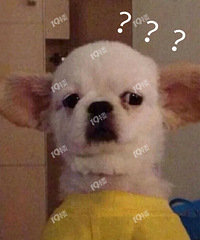 Ϊʲô�о��ܶ��˶����ڼ��������µ��أ�